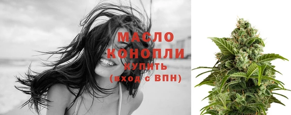 СК Алексин
