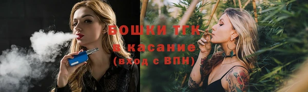 ГАЛЛЮЦИНОГЕННЫЕ ГРИБЫ Алексеевка