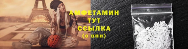 СК Алексин