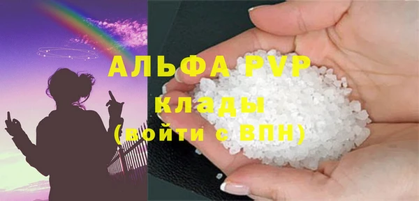 СК Алексин