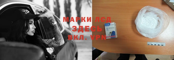 СК Алексин