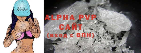СК Алексин