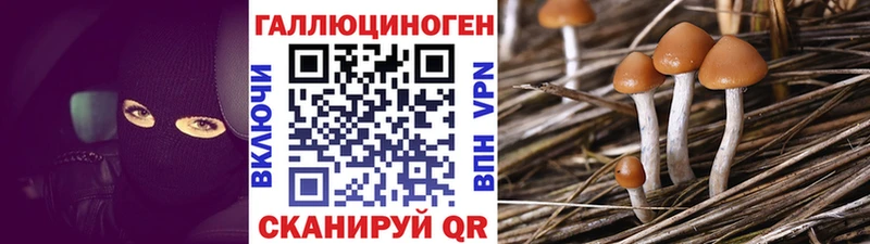 купить  цена  Гдов  Псилоцибиновые грибы прущие грибы 